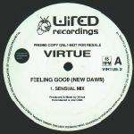 Virtue - Feeling Good (New Dawn) - Wired Recordings - Progressive