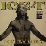 Ice-T - I Ain\'t New Ta This - Rhyme $yndicate Records - Hip Hop
