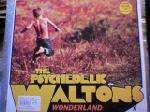 Psychedelic Waltons, The - Wonderland - Echo - US House