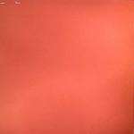 Mira Calix - Peel Session - Warp Records - Electronica