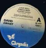 David Grant - Love Will Find A Way - Chrysalis - Disco