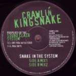 Crawlin' Kingsnake - Snake In The System - Shiva Shanti - Progressive