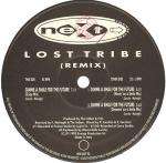 Lost Tribe Of The Lost Minds Of The Lost Valley - Gimme A Smile For The Future (Remix) - Next Records - House