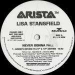Lisa Stansfield - Never Gonna Fall - Arista - UK House