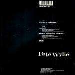 Pete Wylie & Oedipus Wrecks, The - Sinful! (Tribal Mix) - MDM Records - Indie Dance