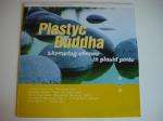 Plastyc Buddha - Throwing Stones In Placid Pools - Life Enhancing Audio - Ambient 